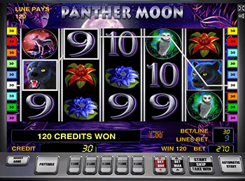 Особенности игры Panther Moon